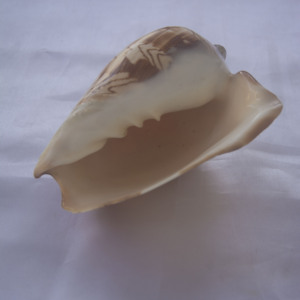 Cymbiola style de sculpture Petit Krishna Ornement Coquillage Bijoux Coquillage Motif Petit Krishna Sculpture - Product Image 5