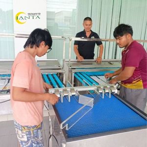 स्टेनलेस स्टील पूरी तरह से स्वचालित अंडे ग्रेडिंग मशीन 14,000 अंडे/घंटे के लिए कन्वेयर बेल्ट के साथ अंडे/घंटे 220 - Product Image 3