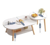 Table basse moderne de style nordique pour petit appartement avec étagère de rangement, idéale pour salon, table d'appoint de canapé, combinaison pour la maison