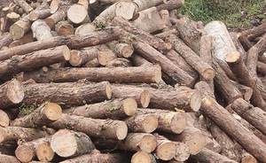 Las mejores pilas de madera para construcción/encofrado/madera estructural, estacas de madera con precio barato y alta calidad - Product Image 2