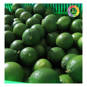 Citron vert sans pépins de qualité supérieure, agrumes frais, juteux et cultivés naturellement pour la cuisine et les boissons, citron vert frais sans pépins au meilleur prix - Product Image 4