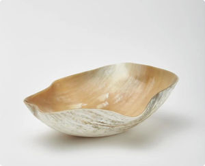 ชามเขาสัตว์ขัดเงาอย่างหรูหรา งานฝีมือ ดีไซน์คลาสสิก สำหรับงานเลี้ยงรับประทานอาหาร สวยงาม ทนทาน และสง่างาม - Product Image 6