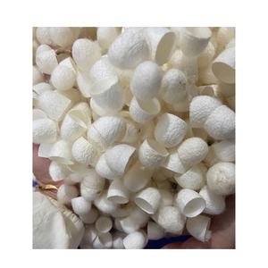 Rollo de hoja de Fibra de seda suave Natural con relleno de algodón capullo de seda para edredón, almohada, capa interior, Material textil de Vietnam - Product Image 6