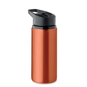 Bouteille d'eau écologique en acier inoxydable SPOT de 500 ml, gobelet écologique pour le merchandising - Product Image 2