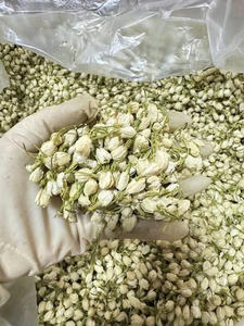 Jazmín Seco al por Mayor para Té, Precio Competitivo, Suministro a Granel desde Vietnam, Sra. May - Product Image 6