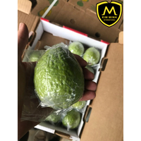 Hoge Kwaliteit Premium Grade Verse Guave HP 0084 917 476 477 10KG/Karton Natuurlijk Groen Natuurlijk Zoete Smaak KMI Merk