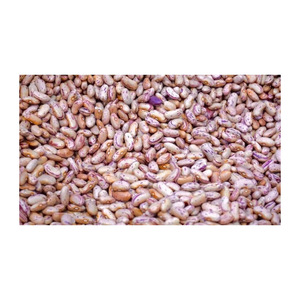 Frijoles enteros en stock para pedidos de gran volumen y envío - Product Image 2