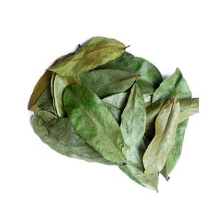 Annona muricata-drier SOP ใบไม้-Wildcrafted-safaty - Product Image 2