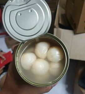 Vải Thiều đóng hộp cao cấp từ Việt Nam, Trái cây nhiệt đới ngọt ngào trong xi-rô ánh sáng cho món tráng miệng và đồ uống // ms. Lily ngo - Product Image 4