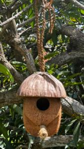 Nids d'oiseaux en coco écologiques et respirants Sri Lankais fabriqués à partir de cosses et de coquilles de noix de coco de la meilleure qualité - Product Image 3