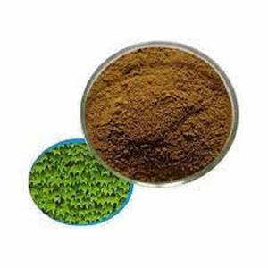 ผงสกัด Bacopa monnieri บริสุทธิ์อาหารเสริมสมุนไพรที่เชื่อถือได้สำหรับผู้ใหญ่ผงสกัด Bacopa monnieri ODM - Product Image 4