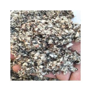 Graines de coton en vrac emballées avec des graines de coton à haute teneur en nutriments disponibles pour l'expédition du fournisseur vérifié - Product Image 2