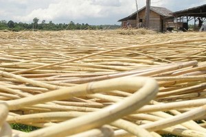 MEILLEURE VENTE NOYAU DE ROTIN NATUREL ET MATÉRIAU DE ROTIN EN GROS PETIT quantité minimale de commande POUR L'EXPORTATION POUR LE MATÉRIEL DE MEUBLES EN ROTIN // Mr.Pierre Luu - Product Image 6