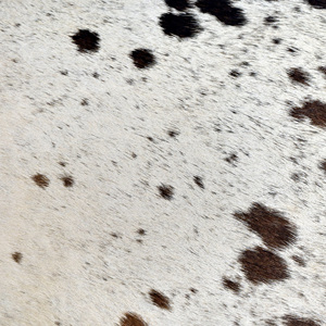 ห้องนั่งเล่นสไตล์โมเดิร์นทรงลูกบาศก์แบบออตโตมันทำจากไม้คุณภาพส่งออก - Product Image 4