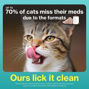 पेट दर्द के लिए पेट/गंध बायोम प्रोबायोटिक्स और पाचन समर्थन प्रतिरक्षा स्वास्थ्य संवेदनशील पेट कब्ज - Product Image 4