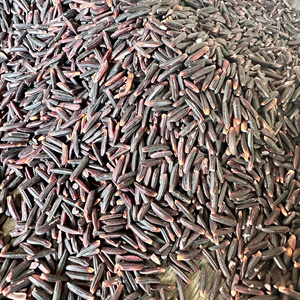 ข้าวดำเวียดนาม - ราคาขายส่งแข่งขันได้ - คุณภาพส่งออกจำนวนมาก - MaxRice - Product Image 4