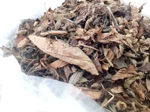 Feuilles de gelée d'herbe noire séchée de qualité supérieure pour dessert et thé 100% feuilles de gelée d'herbe noire naturelles et biologiques - Product Image 4