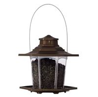 Colibri oiseau maison décorative métal oiseau alimentation brillant perroquet vert couleur lanterne forme suspendue pour oiseaux élégant jardin