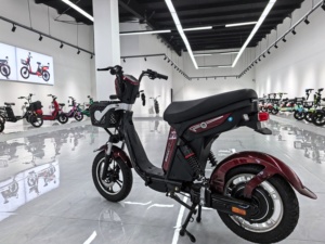 <span class=keywords><strong>Bicicleta</strong></span> <span class=keywords><strong>Eléctrica</strong></span> Urbana de Largo Alcance, Precio Económico, Alta Calidad, Cuadro de Acero al Carbono, Motor sin Escobillas de <span class=keywords><strong>48V</strong></span> y 1000W, <span class=keywords><strong>Batería</strong></span> de Litio - Product Image 4