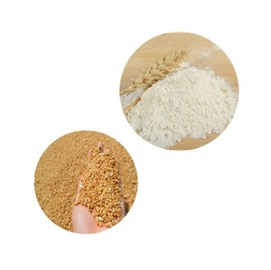 Farine de blé de qualité supérieure pour la cuisson, prix de gros en vrac, 25 kg, disponible à la vente, directement de l'usine - Product Image 2