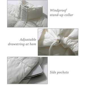 Top vente Logo personnalisé recadrée doudoune pour femmes coupe-vent avec col rabattu coton remplissage traitement brut 2025 - Product Image 5