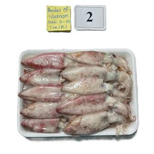 Calamar Loligo Congelado IQF/BQF de Vietnam, Captura Silvestre, Entero, Envasado al Vacío, Exportación Directa - Product Image 3