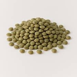 Lentejas Verdes Canadienses Secas de Grado Agrícola a Precio Moderado - Product Image 2