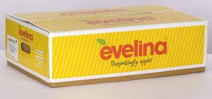 Indian Manufacture Printed Corrugated Apple Shipping <b>Box</b> for Fresh Fruit <b>Storage</b> Available for Wholesale Supply - Product Image 3