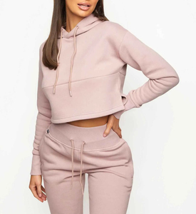 2024 formation et Jogging porte le meilleur Design femmes survêtements 2 pièces ensembles Zip vêtements de sport survêtements pour femme - Product Image 5