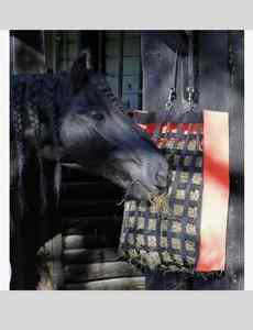 Sac à foin pour cheval à alimentation lente, sac à foin durable pour l'alimentation, sac d'écurie pour cheval en matériau spécial - Product Image 3