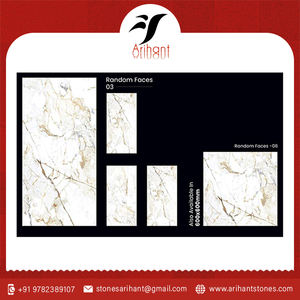 Prix de gros Carreaux de porcelaine Cosima Satuario multifonctionnels au design naturel du fabricant indien - Product Image 2