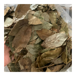 Graviola Leaf Herbal Tea Favor Té Hojas secas para uso nocturno Apoya el alivio del estrés, Light Detox, Mejora la calidad del sueño - Product Image 5