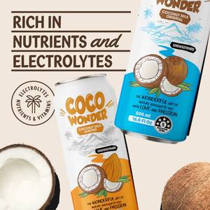 Lait de coco au chocolat 500 ml 16.9 floz boisson VINUT 24 bouteilles carton bouteille PET non OGM sans sucre ajouté OEM marque privée - Product Image 3