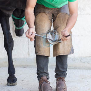 Instruments vétérinaires en acier inoxydable Testeur de sabots Équipement animal Testeur de sabots En vente en ligne - Product Image 3