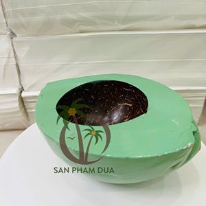 CONTENEDOR DE CÁSCARA DE COCO NATURAL DE ALTA CALIDAD, PORTAVELAS DE CÁSCARA DE COCO CON IMPERMEABLE EN AMBOS LADOS IMPERMEABLES EN EL INTERIOR - Product Image 4