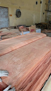 Láminas de Madera Contrachapada Bintangor Comercial para Gabinetes y Muebles - Product Image 2