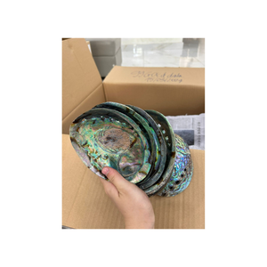 Natural <b>abalone</b> <b>shell</b> for bathroom decoration, supplied to spa hotels wholesale, durable, environmentally friendly - Product Image 6