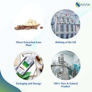 Aceite de karité 100% puro y natural al por mayor a granel precio más bajo embalaje personalizado - Product Image 4