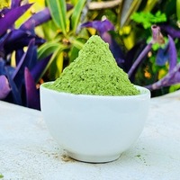 Poudre de feuilles de Moringa sauvage 100% pure, végétalienne et sans gluten, qualité alimentaire, en vrac, conditionnement en bocal Mason et en fût, emballée sous vide