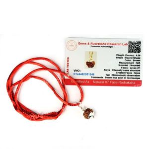 Zertifizierter 7 Mukhi Rudraksha-Anhänger für Wohlstand, Fülle, Selbstvertrauen und finanzielles Wohlbefinden - Product Image 1