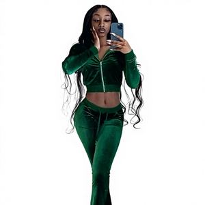 Conjunto Deportivo de 2 Piezas para Mujer, Invierno, Terciopelo Bordado, Sudadera con Cierre y Pantalones Deportivos, Casual, Suave - Product Image 2