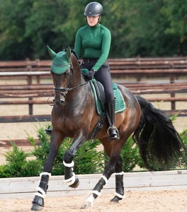 Selle de cheval anglaise solide et durable, rembourrage en coton matelassé, confortable et respirant, options personnalisées - Product Image 6