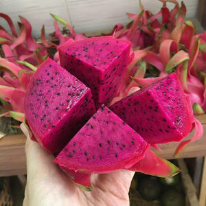 Morceaux et tranches de fruits du dragon congelés de qualité supérieure pour les garnitures de dessert et la cuisson - Product Image 3