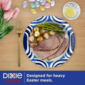 แผ่นกระดาษย่อยสลายได้ดีซ์ซี่หลากสี 10 นิ้ว 100 จํานวน - Product Image 2