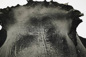 หนังวัวแท้เกรดพรีเมียม หนังฟูลเกรน ผิวธรรมชาติ สำหรับผลิตเสื้อผ้ามอเตอร์ไซค์ ถุงมือ แจ็คเก็ต กระเป๋า อุปกรณ์ขี่ม้า - Product Image 5