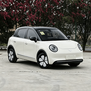 Nouvelle voiture familiale Wuling Bingo Pro Mini 2025, recharge rapide, véhicule électrique à énergie nouvelle en provenance de Chine - Product Image 1
