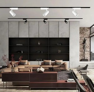 Spot LED moderne en aluminium blanc zoomable de 30W Éclairage intérieur réglable COB Éclairage Galerie Musée Rail d'éclairage LED Entrée 220V - Product Image 4