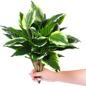 3pcs Set of Artificial Tropical Green <strong>Plants</strong>, Faux <strong>Hosta</strong> Outdoor Artificial <strong>Plants</strong>, UV-resistant, with Realistic Green Leaves - Product Image 1