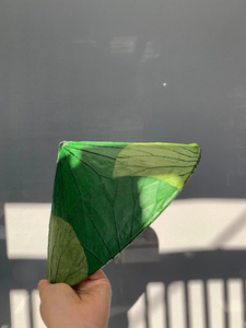 Chapeau Lotus Eco Conscious pour les marques de mode modernes, promouvant des produits naturels et éthiques - Product Image 6