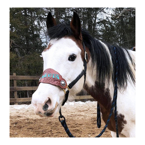 Noseband personalizado Bronc floral con cabestro de nailon Premium para caballos Comprar productos para caballos - Product Image 1